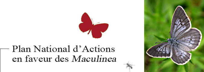 PNAO - Plan National d'Actions en faveur des Maculinea